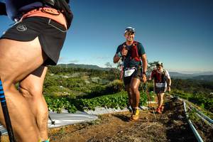 BIB: 1931
                            <button type="button" onclick="openModal(19121989)" class="btn btn-primary btn-sm float-right btn-popup" data-toggle="modal" data-target=".modal-high-quality">
                        <i class="fas fa-shopping-cart"></i> Add to Cart
                    </button>
                                            <button type="button" onclick="isThisMe(19121989, true)" class="btn btn-success btn-sm float-right btn-popup btn-isme hidden" data-toggle="tooltip" data-placement="bottom" title="นี่คือรูปของคุณใช่ไหม คลิกที่นี่เพื่อเอาเข้าอัลบั้ม">
                        <i class="fas fa-plus"></i> Add to album
                    </button>
                    <button type="button" onclick="isThisMe(19121989, false)" class="btn btn-warning btn-sm float-right btn-popup btn-isnotme hidden">
                        <i class="fas fa-ban"></i> Remove from album
                    </button>